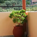 Marina 2*