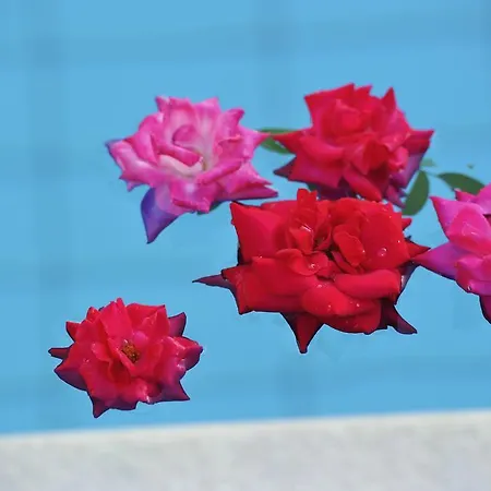 Marina Hotel 2*